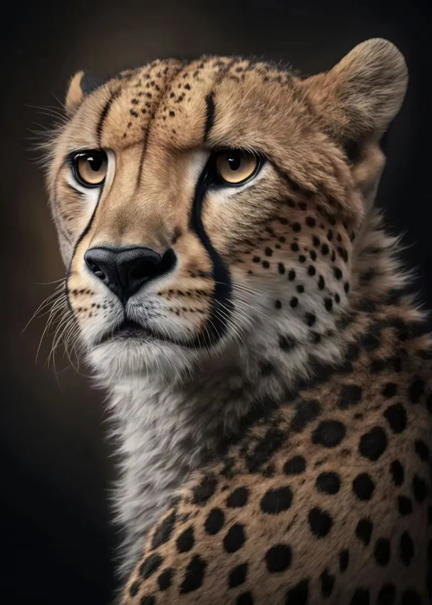 Cheetah Focus Canvas Wall Art Decor