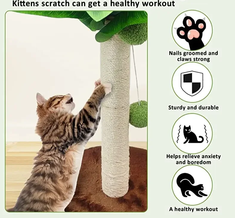 Tropical Paradise Escape Cat Toy