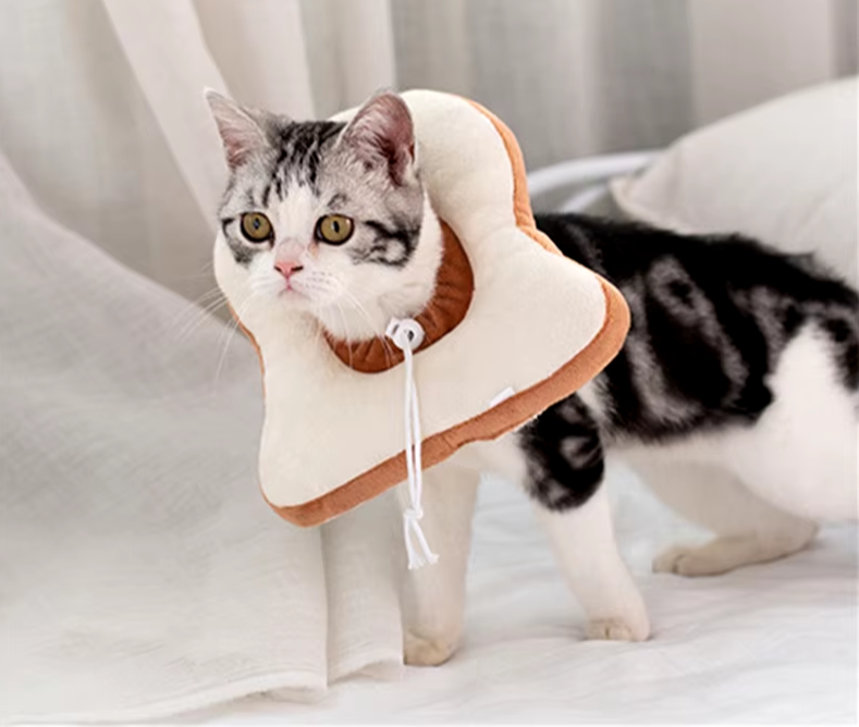 Soft Toast Shaped Recovery Cat Collar, Adjustable and Non Adjustable Neck