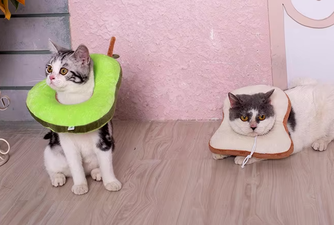 Soft Avocado Shaped Recovery Cat Collar, Adjustable and Non Adjustable Neck