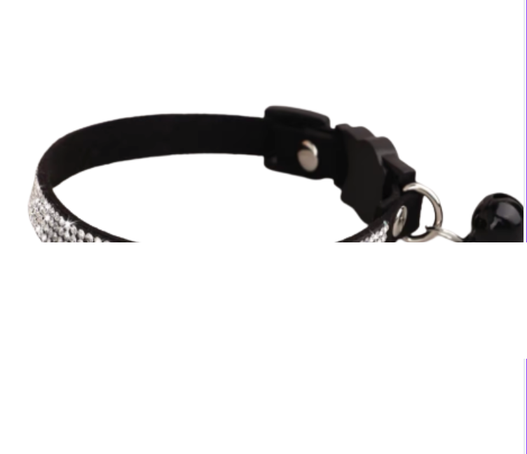 Dazzling Cat Collar