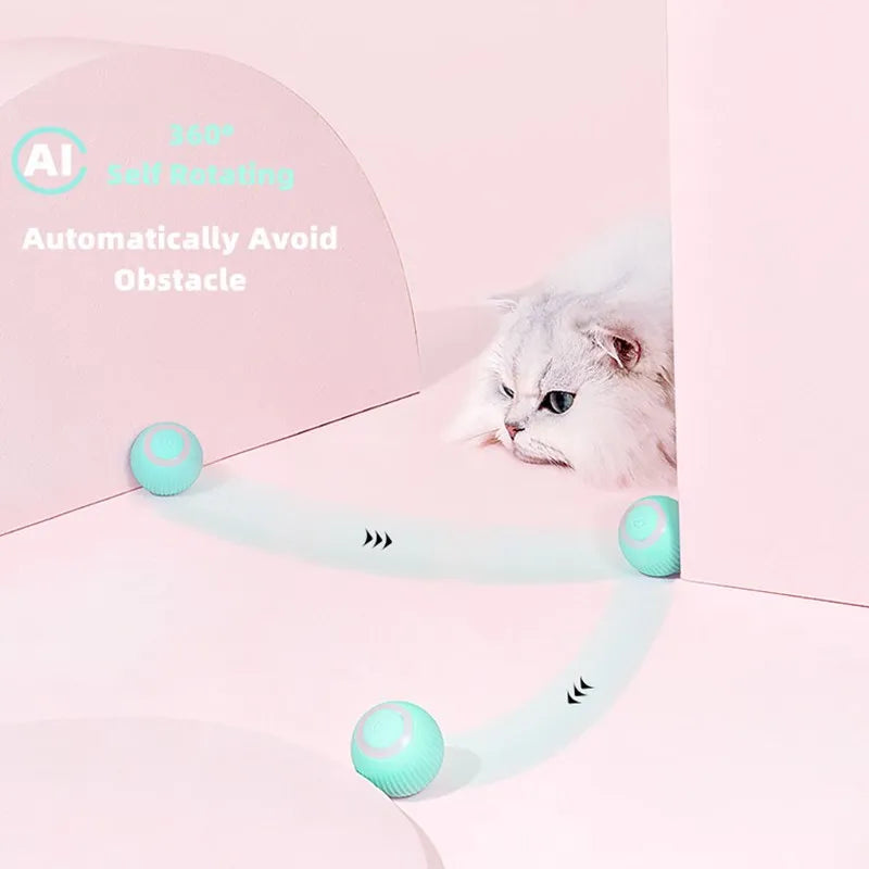 Cat Interactive Smart Ball , Comes in Blue or Pink!