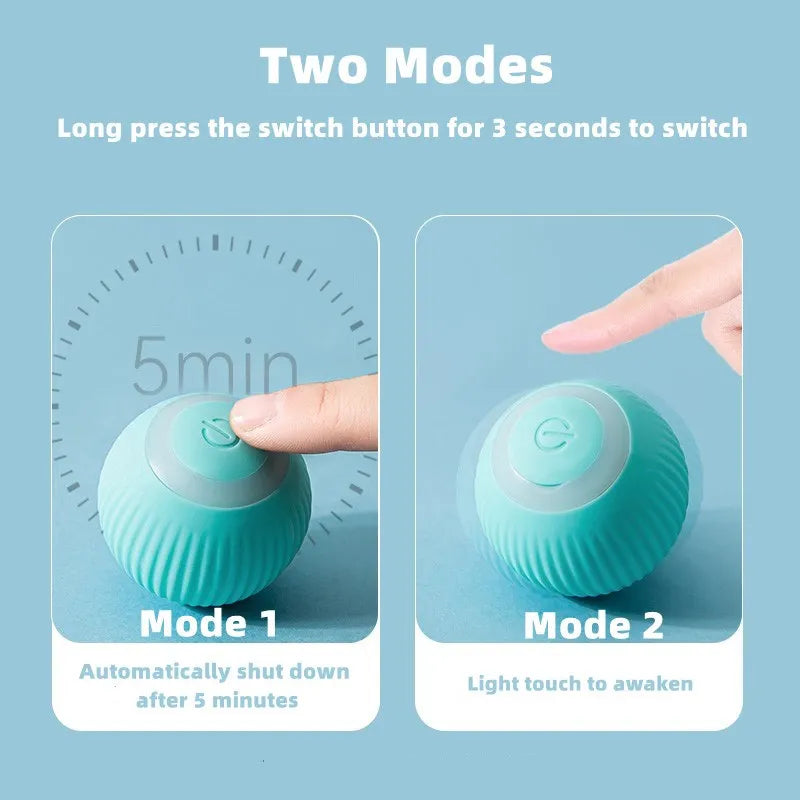 Cat Interactive Smart Ball , Comes in Blue or Pink!
