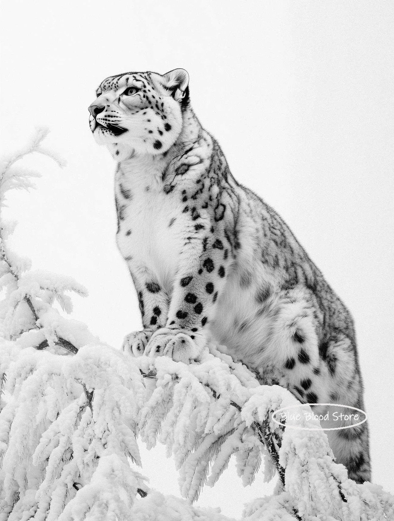 Black and White Snow Leopard Wall Art Home Decor: Available in 3 Unique Poses