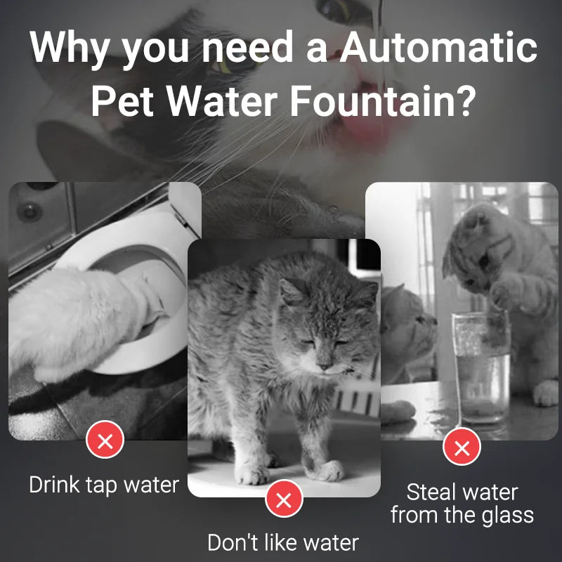 Smart Cat Automatic Water Fountain Dispenser