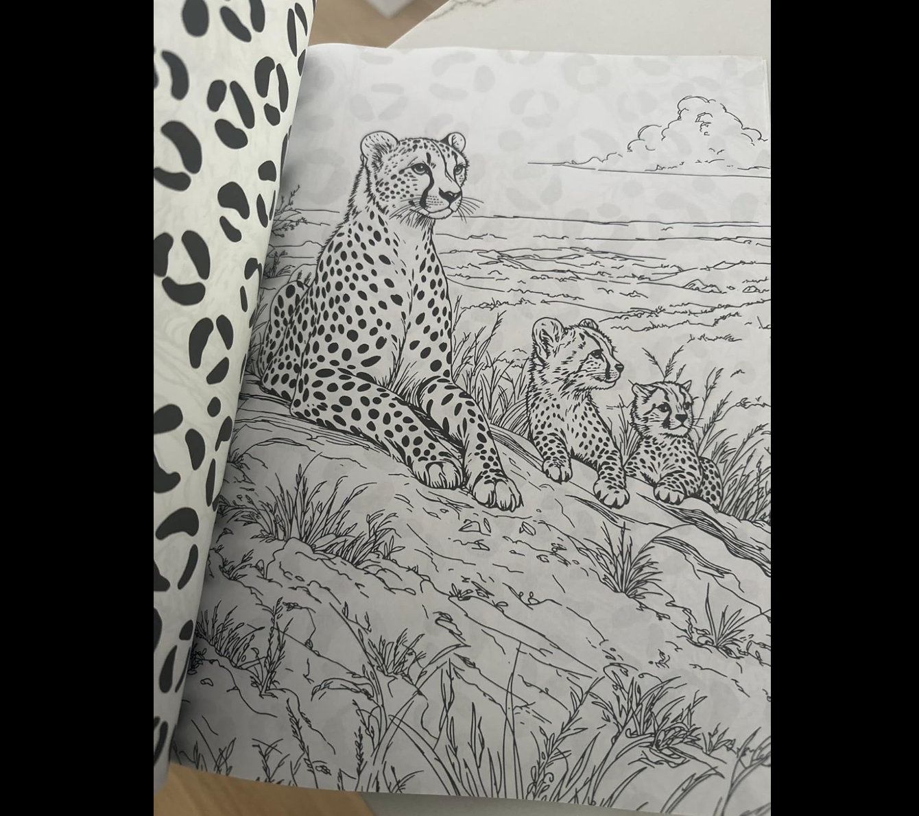 CLICK LINK BELOW TO ORDER ON AMAZON: Original One-Of-A-Kind Coloring Book