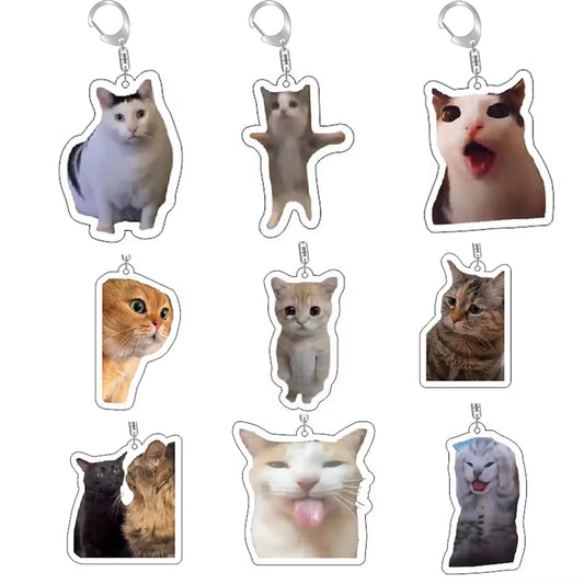 Favorite Cat Memes Keychain, Choose Yours!