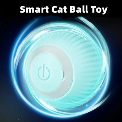 Cat Interactive Smart Ball , Comes in Blue or Pink!
