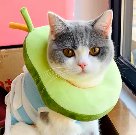 Soft Avocado Shaped Recovery Cat Collar, Adjustable and Non Adjustable Neck