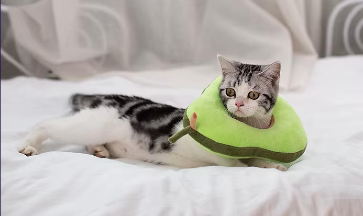 Soft Avocado Shaped Recovery Cat Collar, Adjustable and Non Adjustable Neck