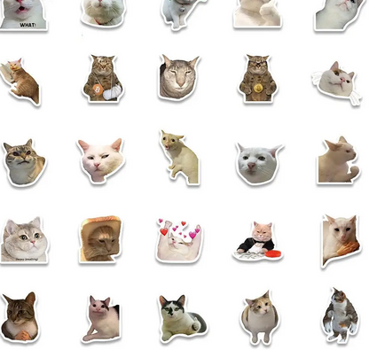 50PCS Popular CAT MEME FAVS Sticker Collection