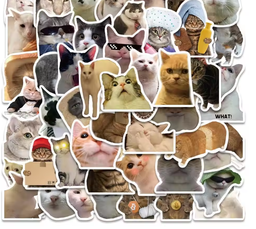 50PCS Popular CAT MEME FAVS Sticker Collection