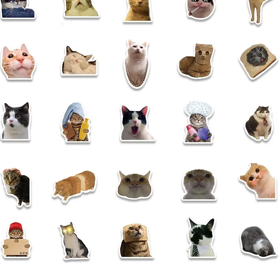 50PCS Popular CAT MEME FAVS Sticker Collection