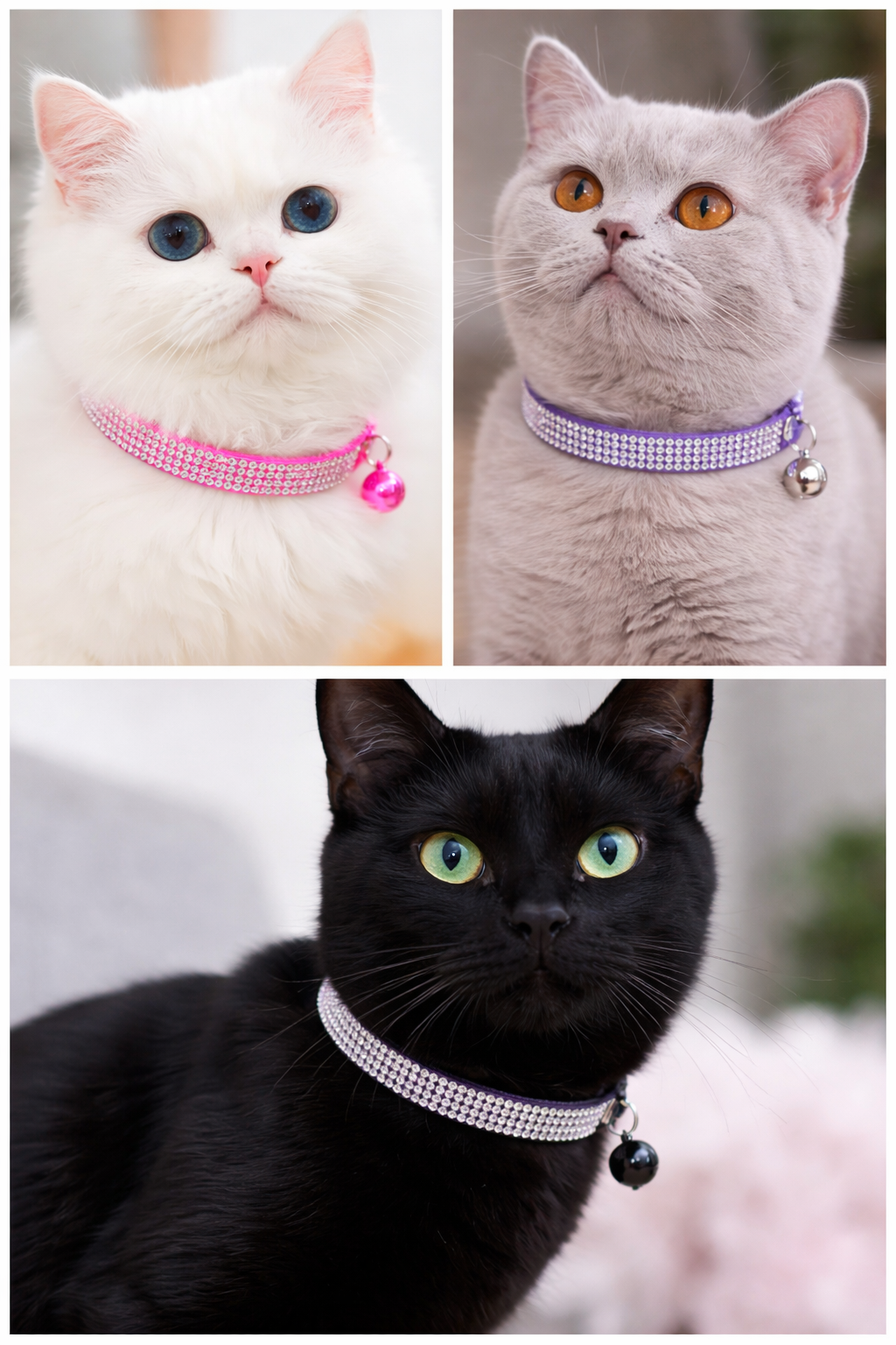 Dazzling Cat Collar 