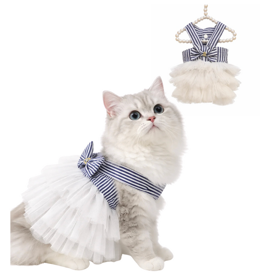 Yacht Club Chic