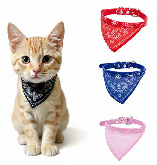 Western Bandit Bandana