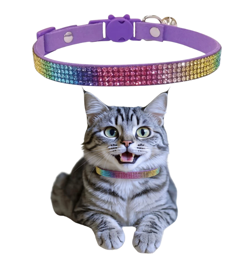 Rainbow Pride Collar