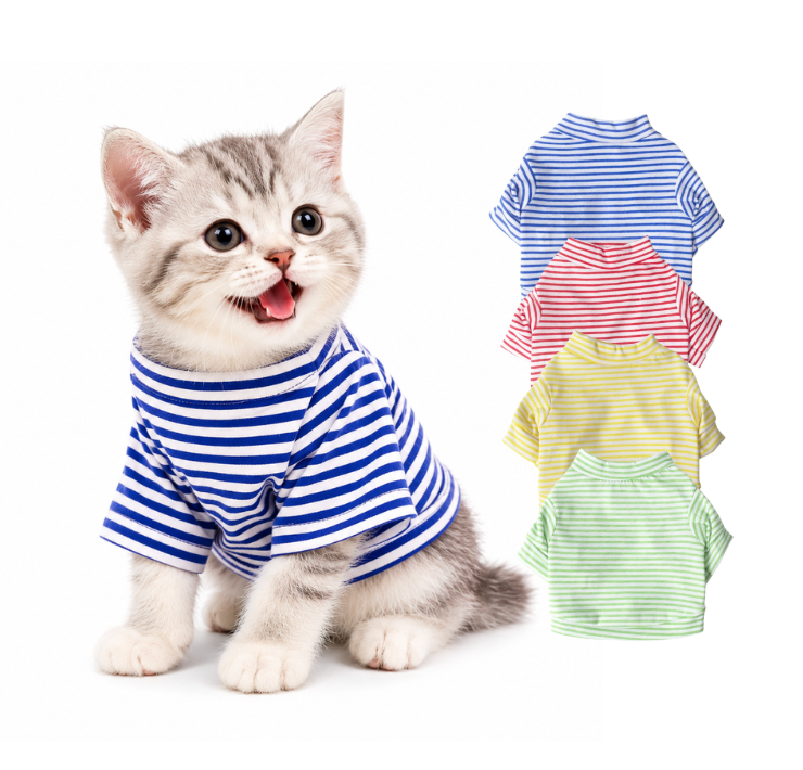 Classic Cotton Shirt