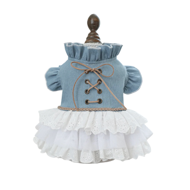 Vintage Denim Dress