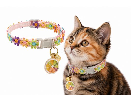 Flower Power Collar