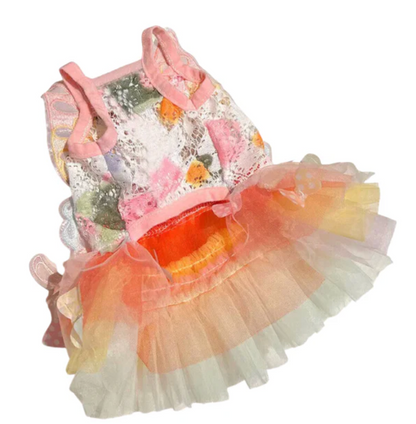Pet Princess Clothes Kitten Thin Skirt Dog Cat Rainbow Butterfly Puffy Dress Dogs Skirt Summer Dresses Pets Supplies New
