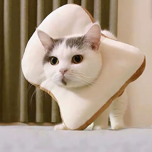 Soft Toast Shaped Recovery Cat Collar, Adjustable and Non Adjustable Neck 