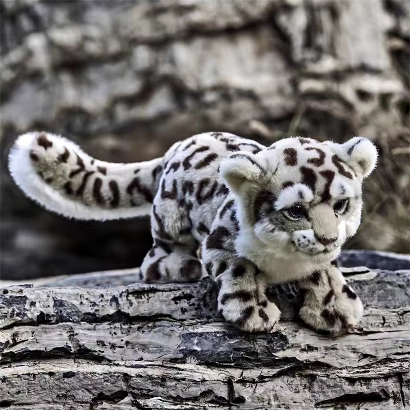 Snow Leopard Plush Toy