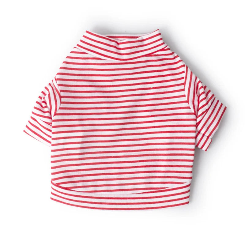 Classic Cotton Shirt
