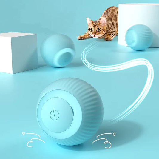 Cat Interactive Smart Ball , Comes in Blue or Pink!