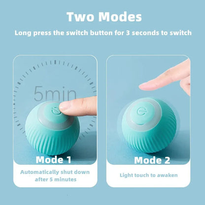 Cat Interactive Smart Ball , Comes in Blue or Pink!