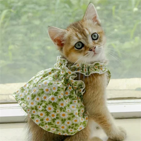 Sphynx Cat Summer Dress 100% Cotton: Comes in Green & Pink