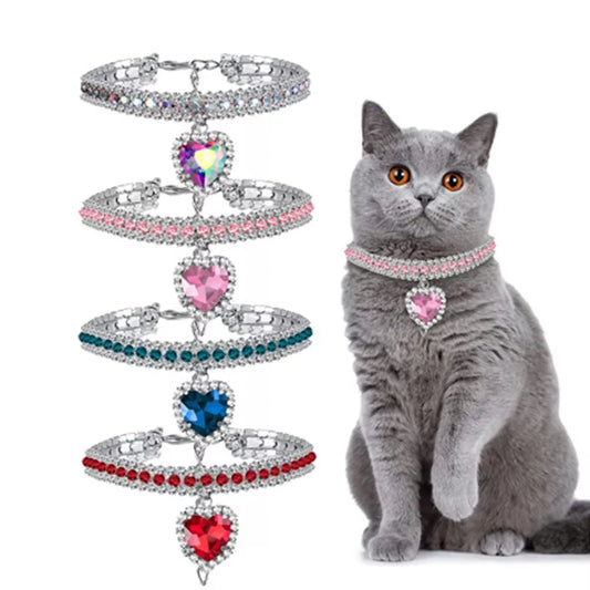 Exquisite Cat Collar with Pendant
