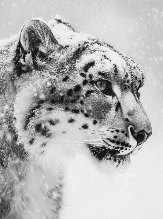 Black and White Snow Leopard Wall Art Home Decor: Available in 3 Unique Poses