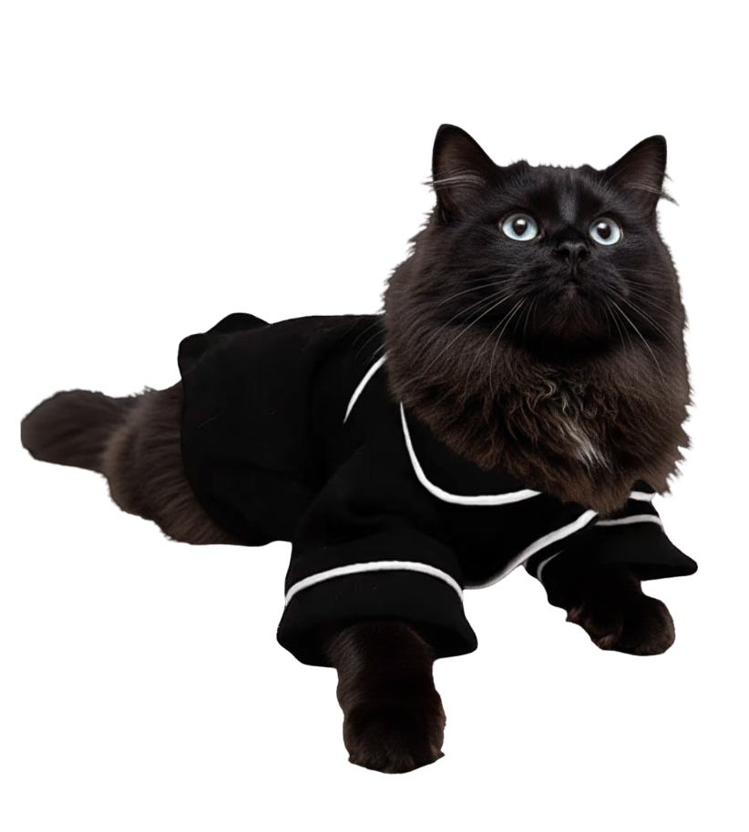 Luxury Feline Pajamas
