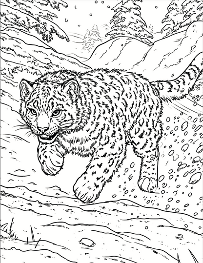 CLICK LINK BELOW TO ORDER ON AMAZON: Original One-Of-A-Kind Coloring Book