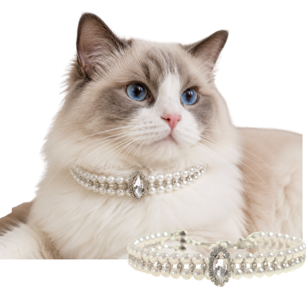 Majesty Luxe Collar