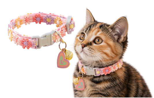 Flower Power Collar