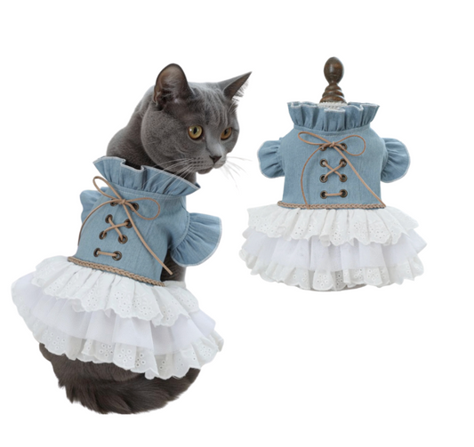 Denim Vintage Dress