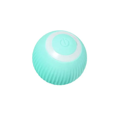 Cat Interactive Smart Ball , Comes in Blue or Pink!