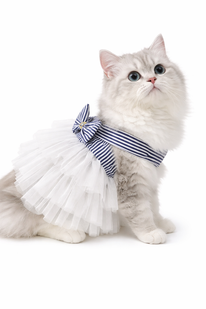 Yacht Club Chic