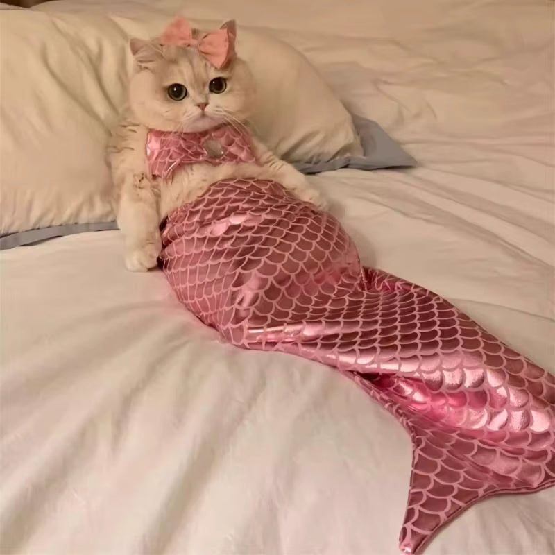 Iconic Mermaid Outfit